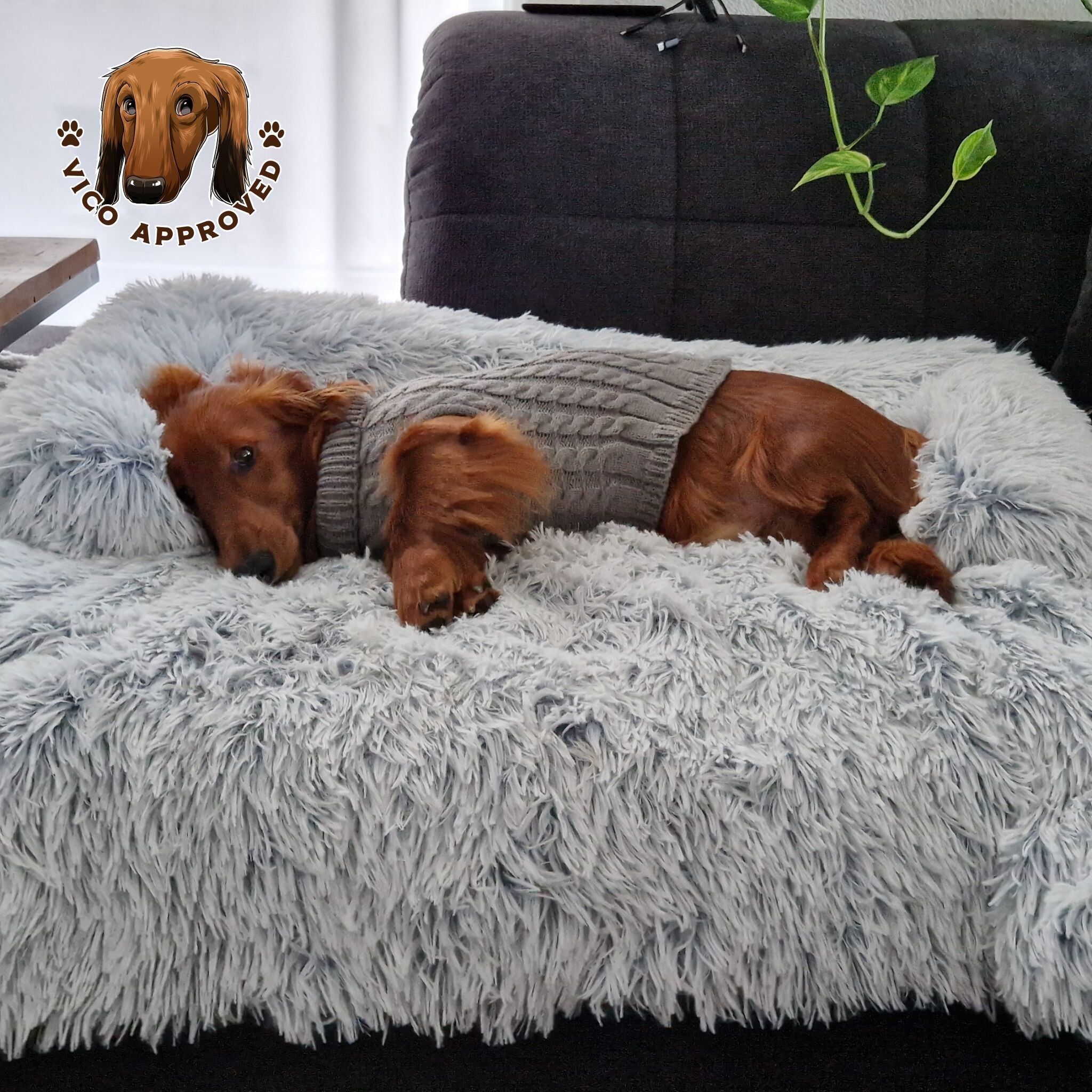 Hundebetten, Matten & Decken - Vico's Hundewelt