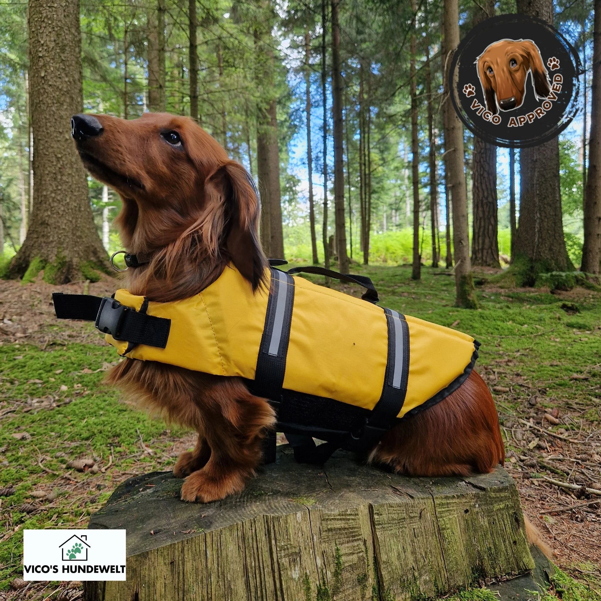 Sommerprodukte - Vico's Hundewelt