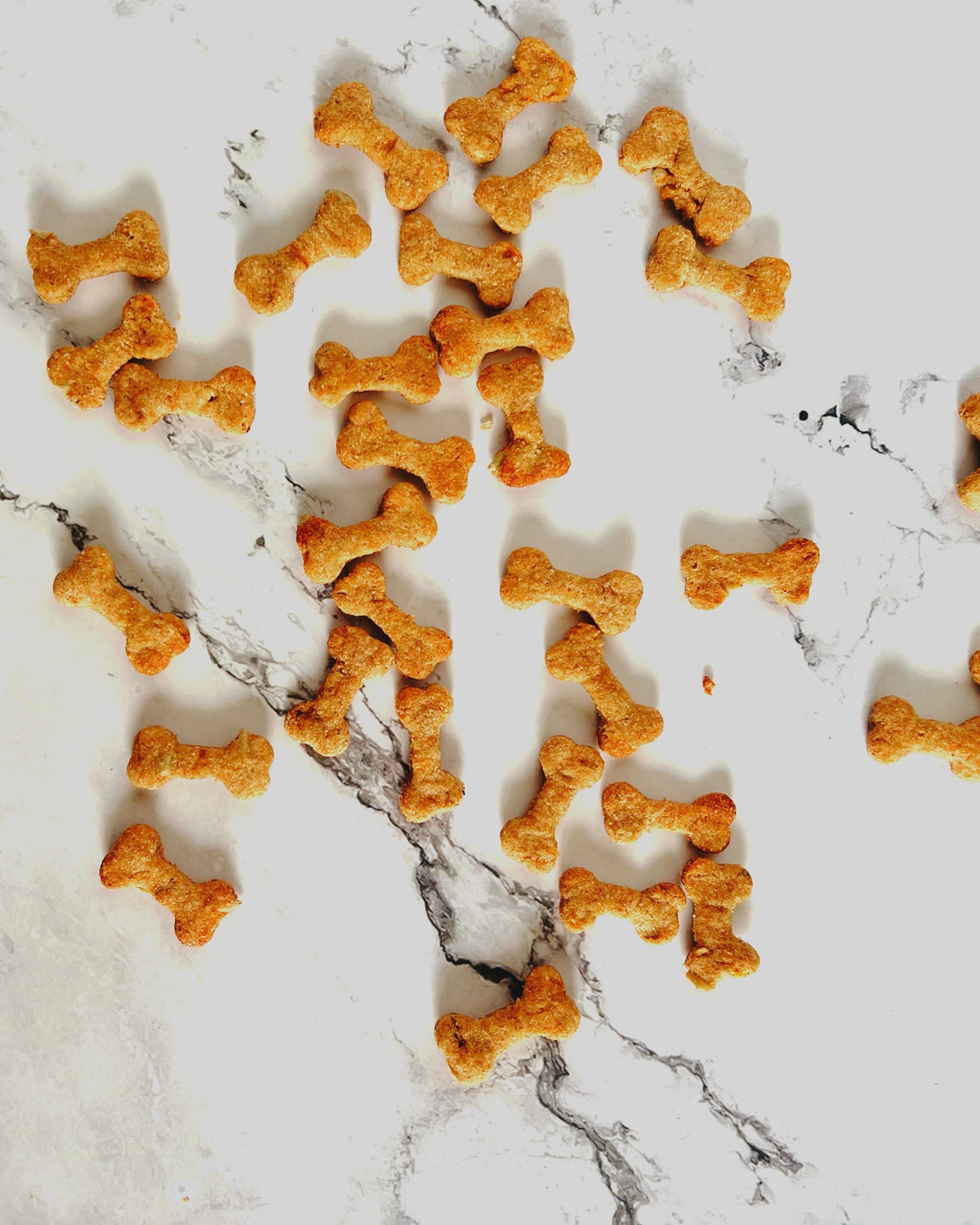 Bananen-Erdnuss-Leckerli für Hunde, vegan, handgemacht in Lugano, Bild 3