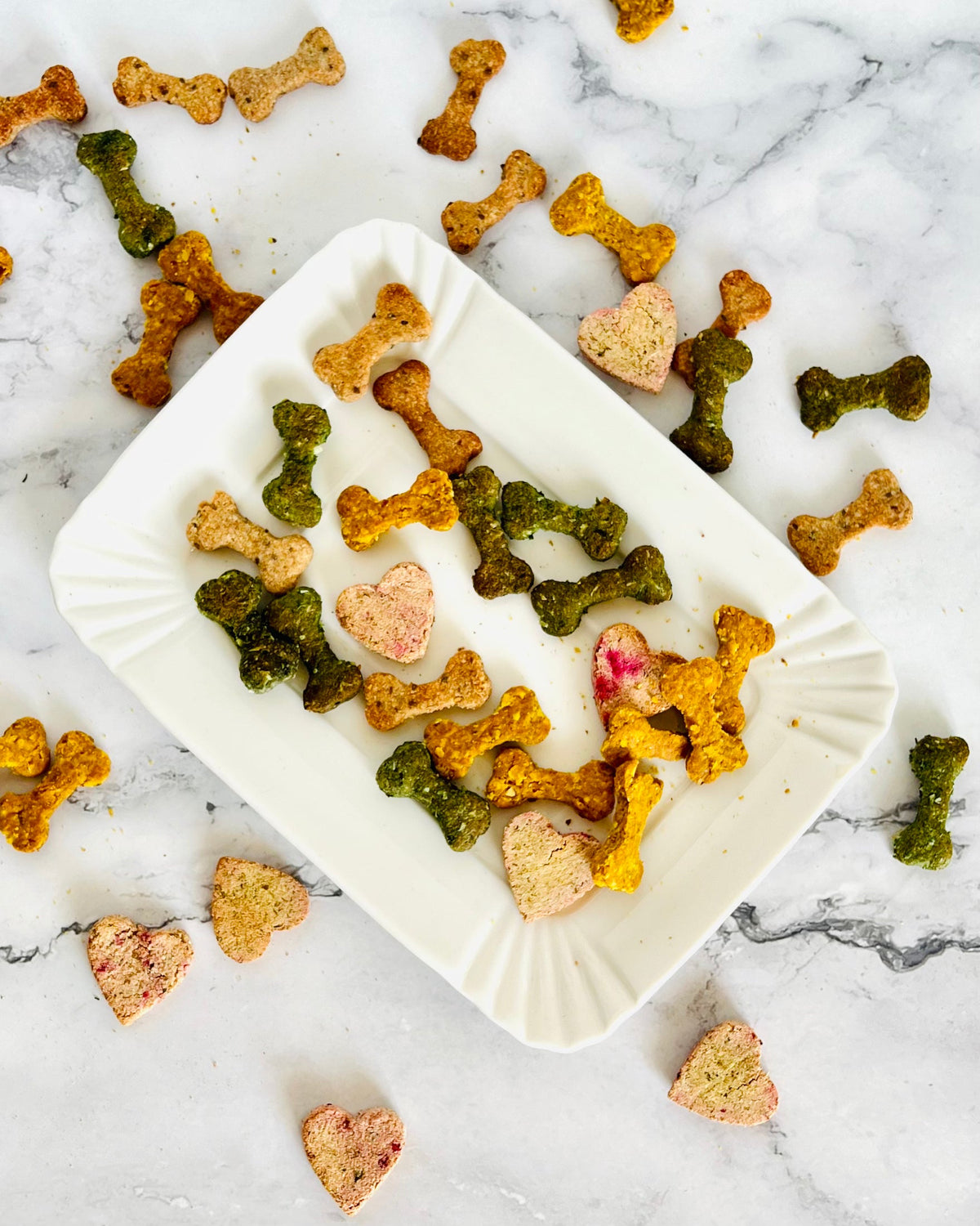 Superfood-Mix, 4 Sorten Hundeleckerli, handgemacht in Lugano