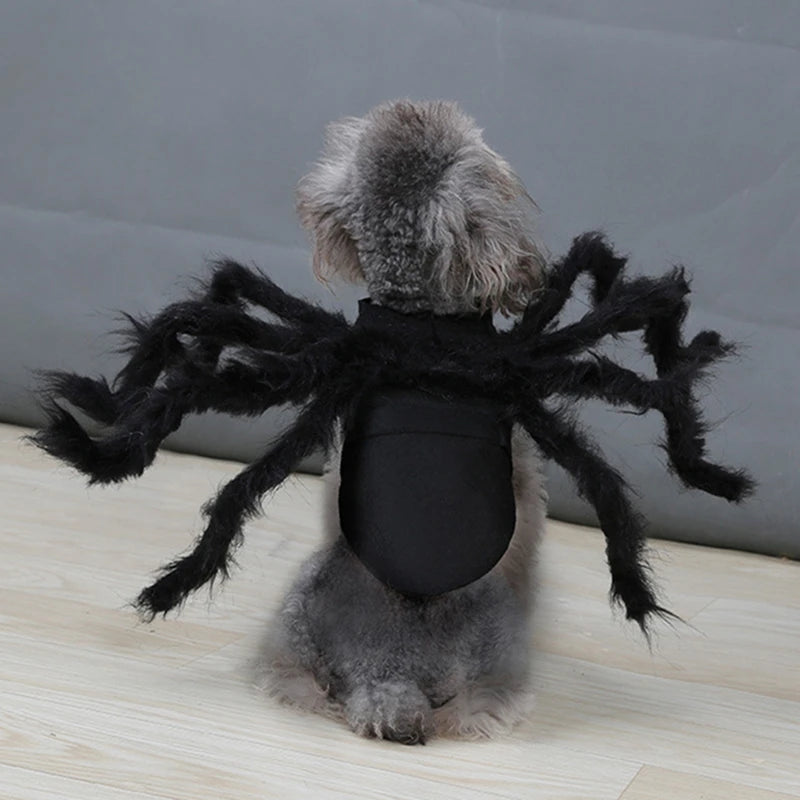 SpookySpider Dog Costume