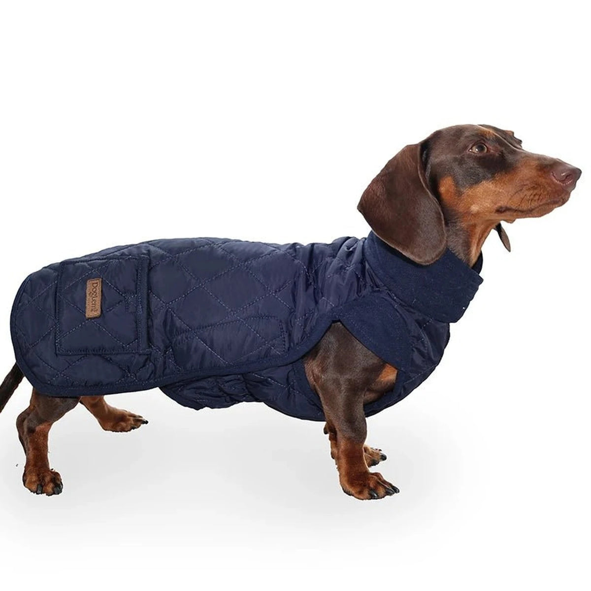 CozyDachs winter coat, dog coat, product image 7