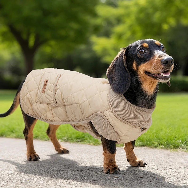 CozyDachs Wintermantel - Vico's Hundewelt (4749870659494)