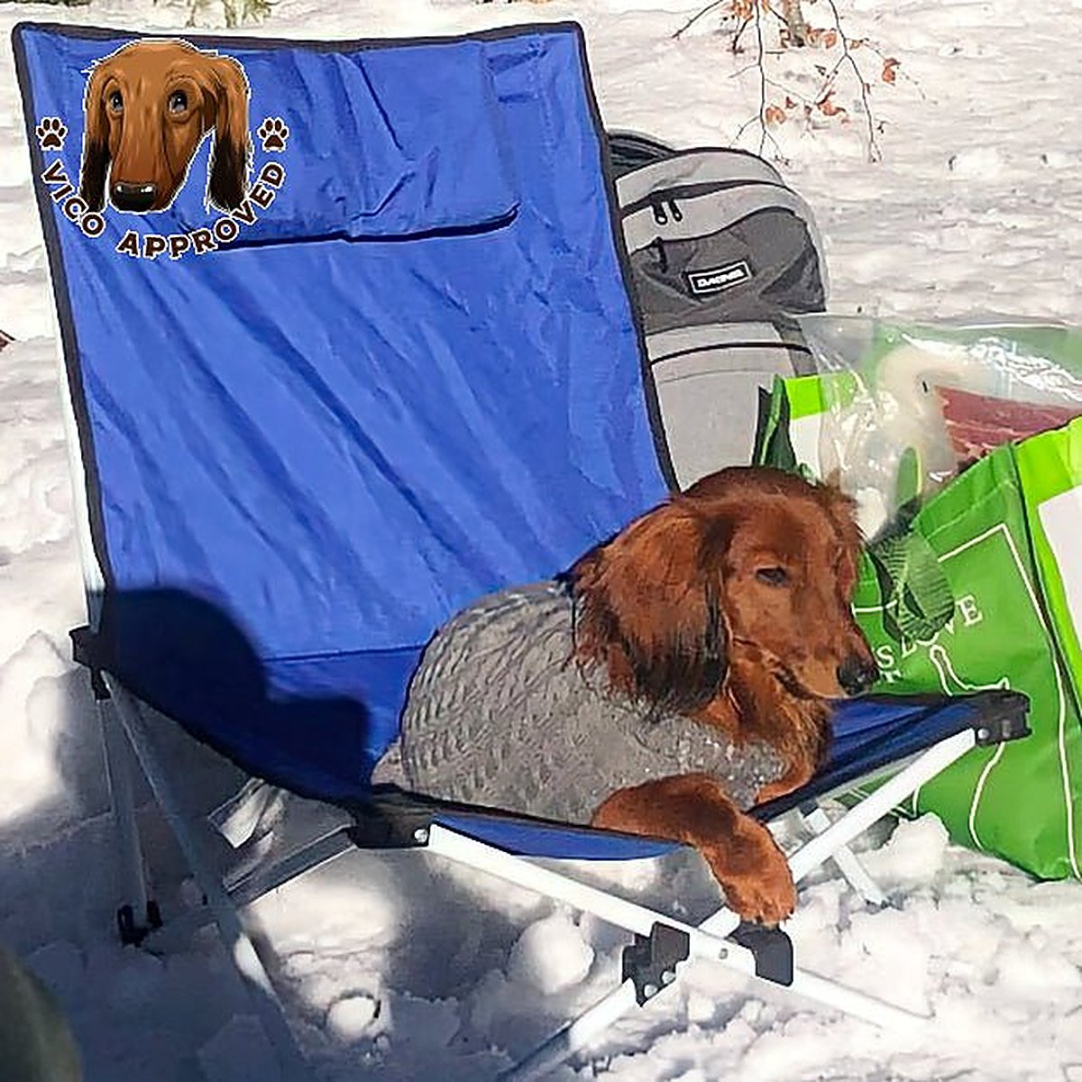 Doggy Strickjäckchen, Hundepullover, Produktbild 5