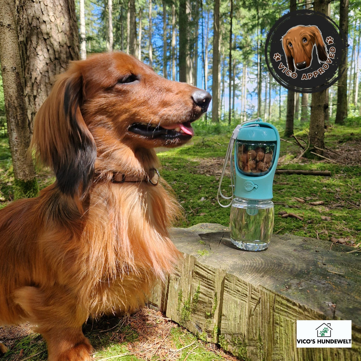 HydroPup 2 - Tragbare Kombiflasche - Vico's Hundewelt ()