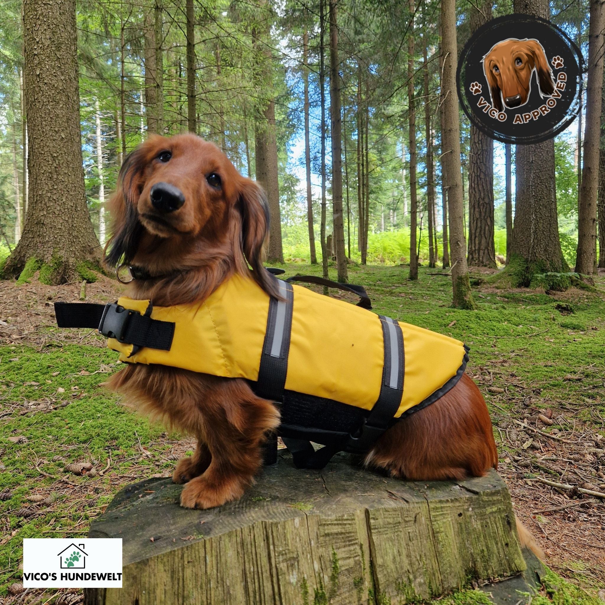 PawGuard Schwimmweste - Vico's Hundewelt ()