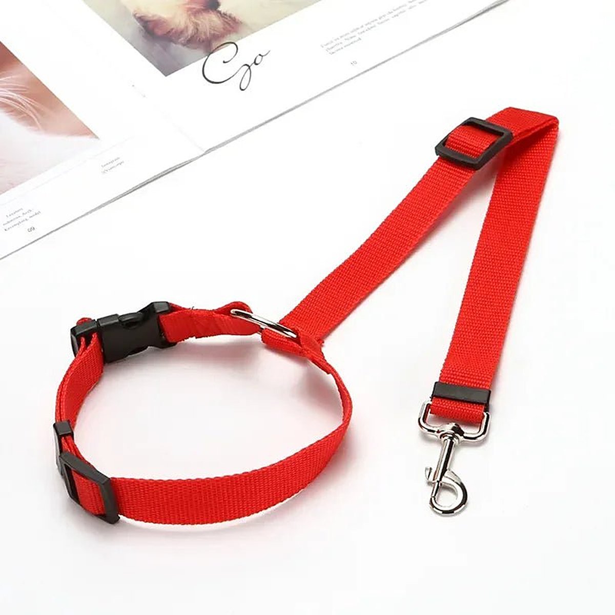 PetSafe Reiseleine, Hundehalsband, Produktbild 5