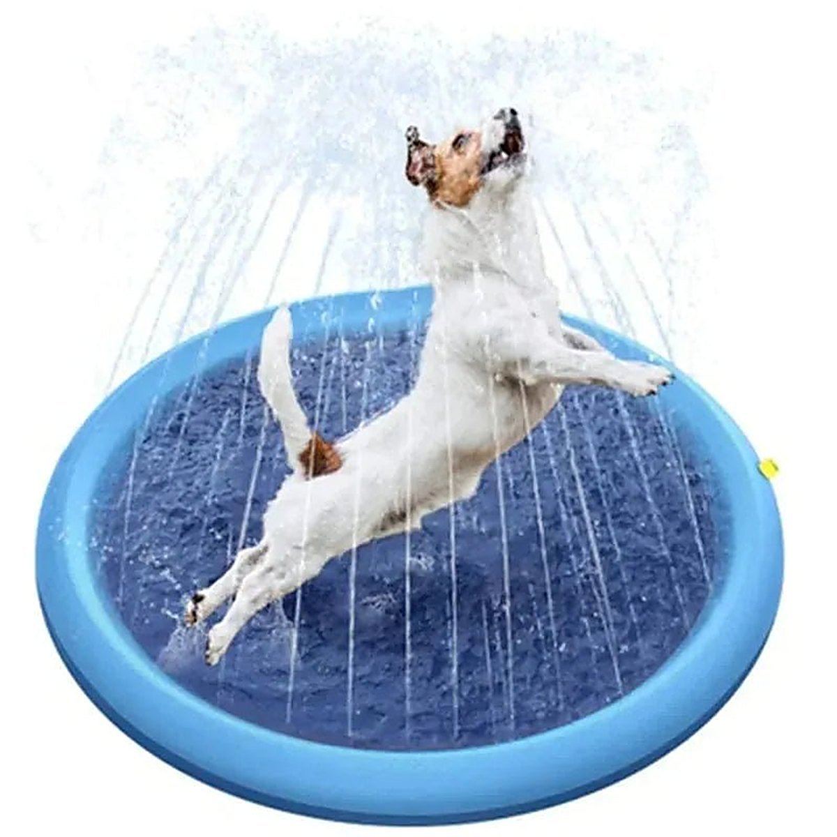 Pfoten Plantscher - Hundesprinkler, Hundespielzeug in den Grössen 100cm bis 200cm