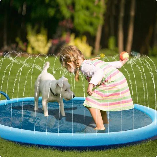Pfoten Plantscher - Hundesprinkler - Vico's Hundewelt ()
