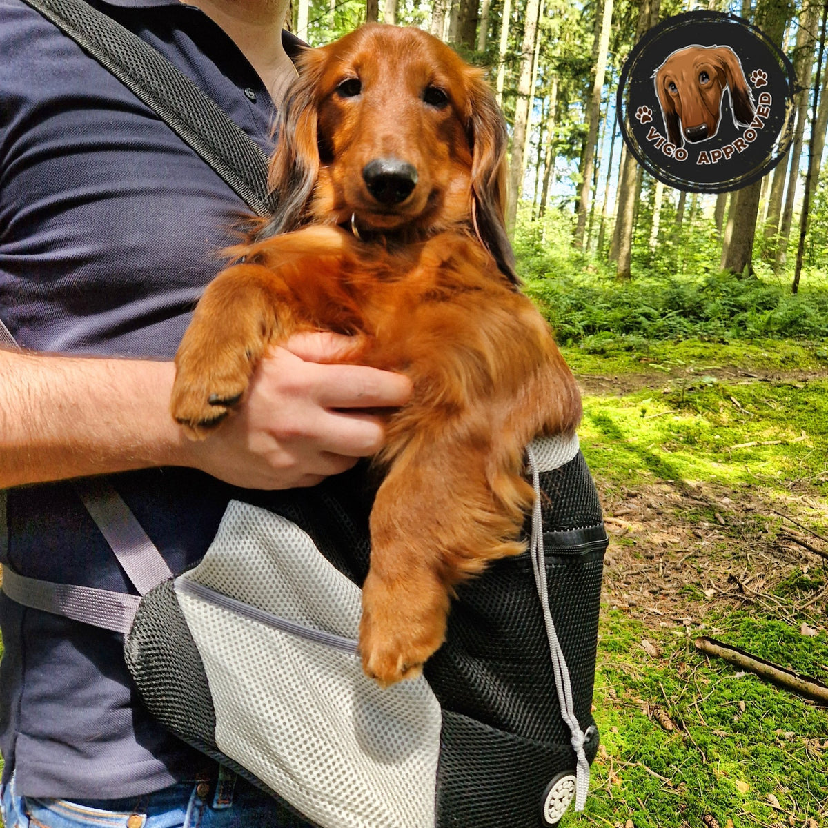 PupPal Express - Praktischer Hunderucksack - Vico's Hundewelt (8509801146754)