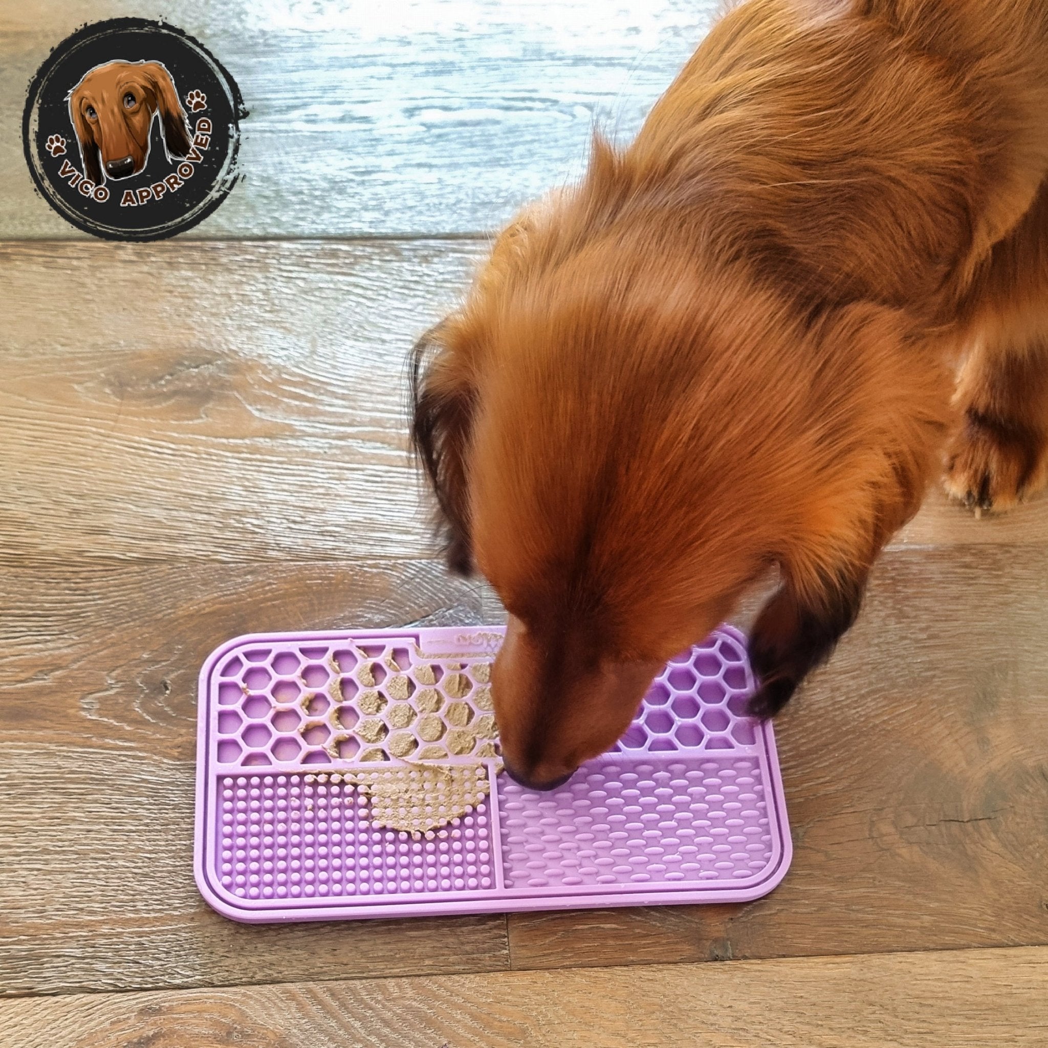 SchleckSpass - Ultimative Futtermatte - Vico's Hundewelt (4748122453408)