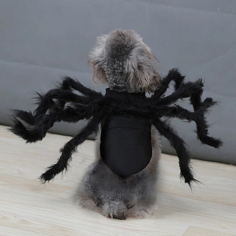 SpookySpider Hundekostüm von Vico's Hundewelt, Hundekostüm