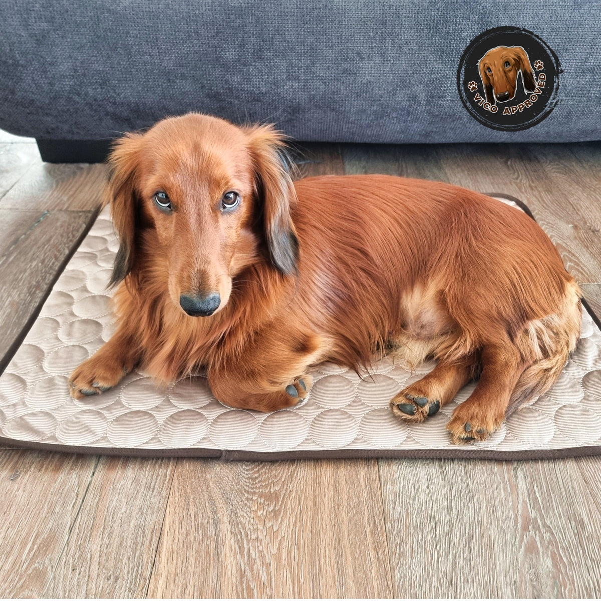 Vico's Kühloase - Vico's Hundewelt (7458292963856)