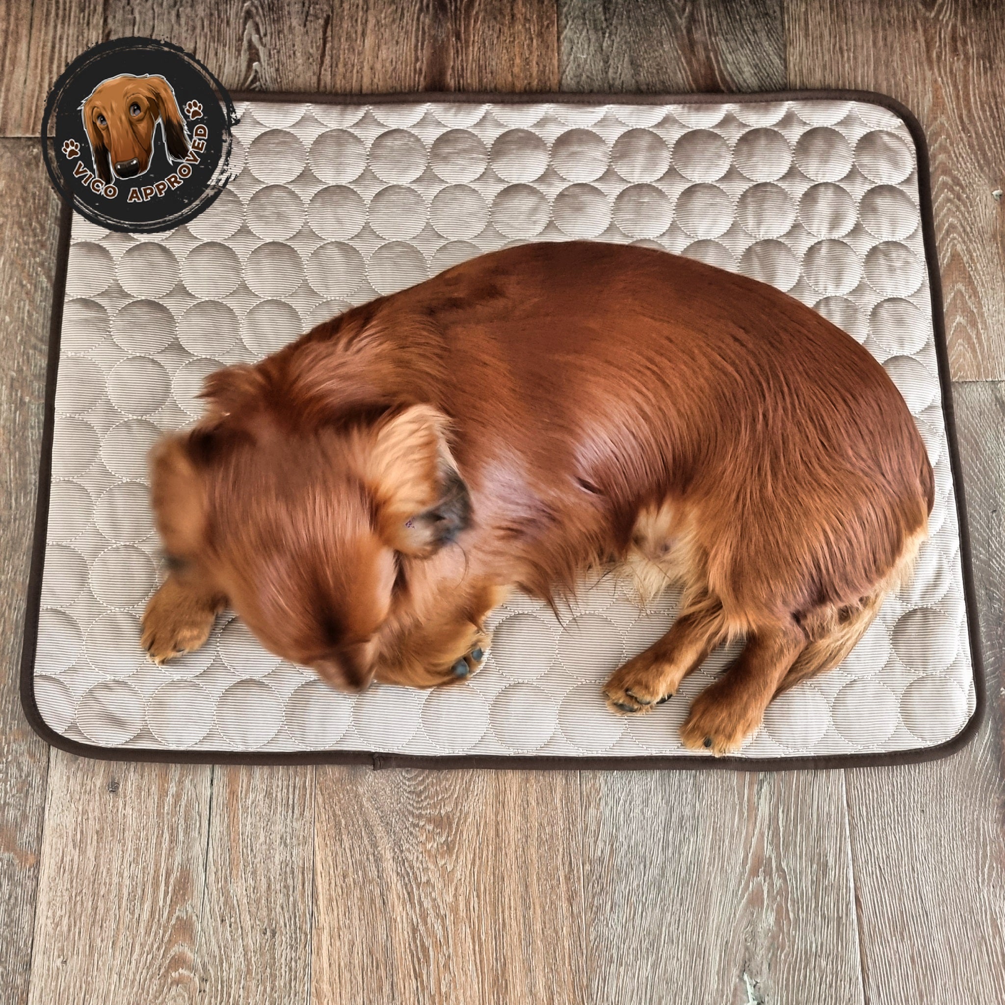 Vico's Kühloase - Vico's Hundewelt (7458292963856)