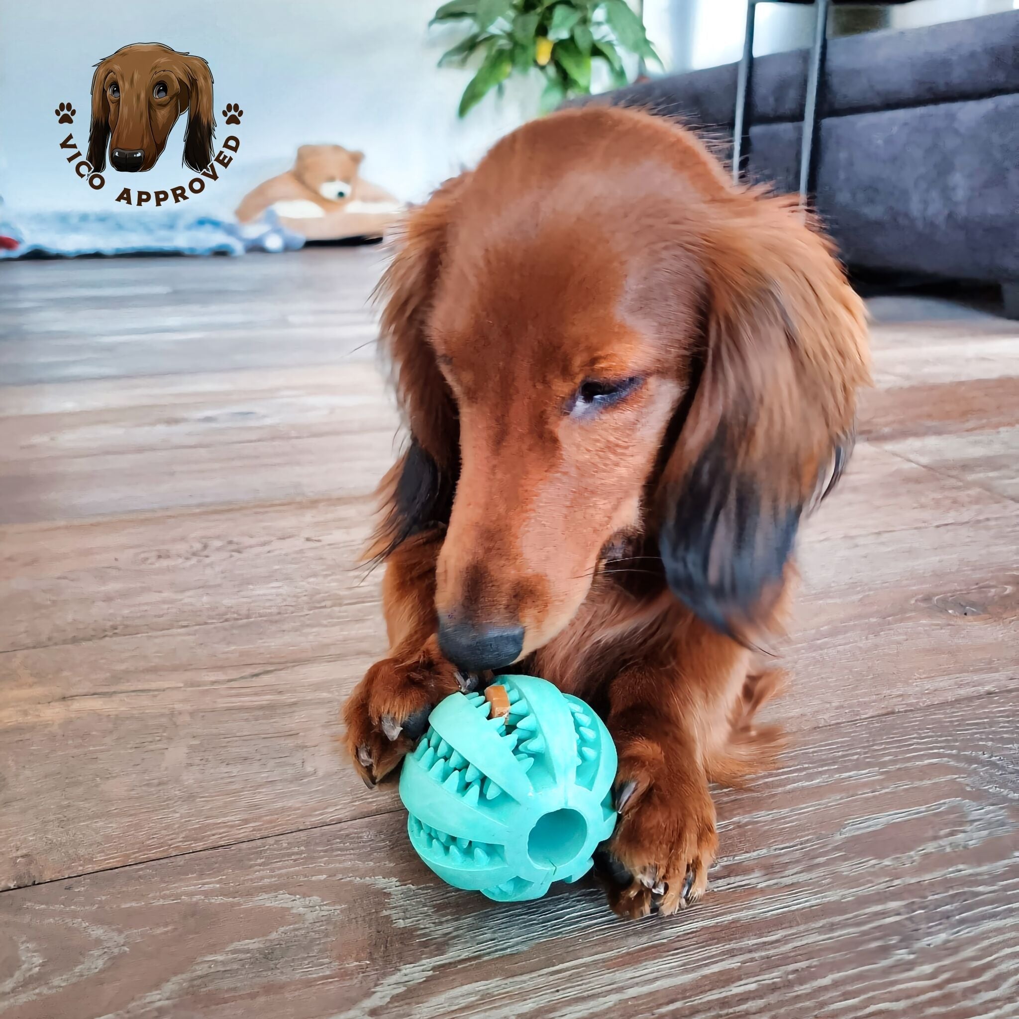 ChewyChuckle Spielball - Vico's Hundewelt (4749071807557)