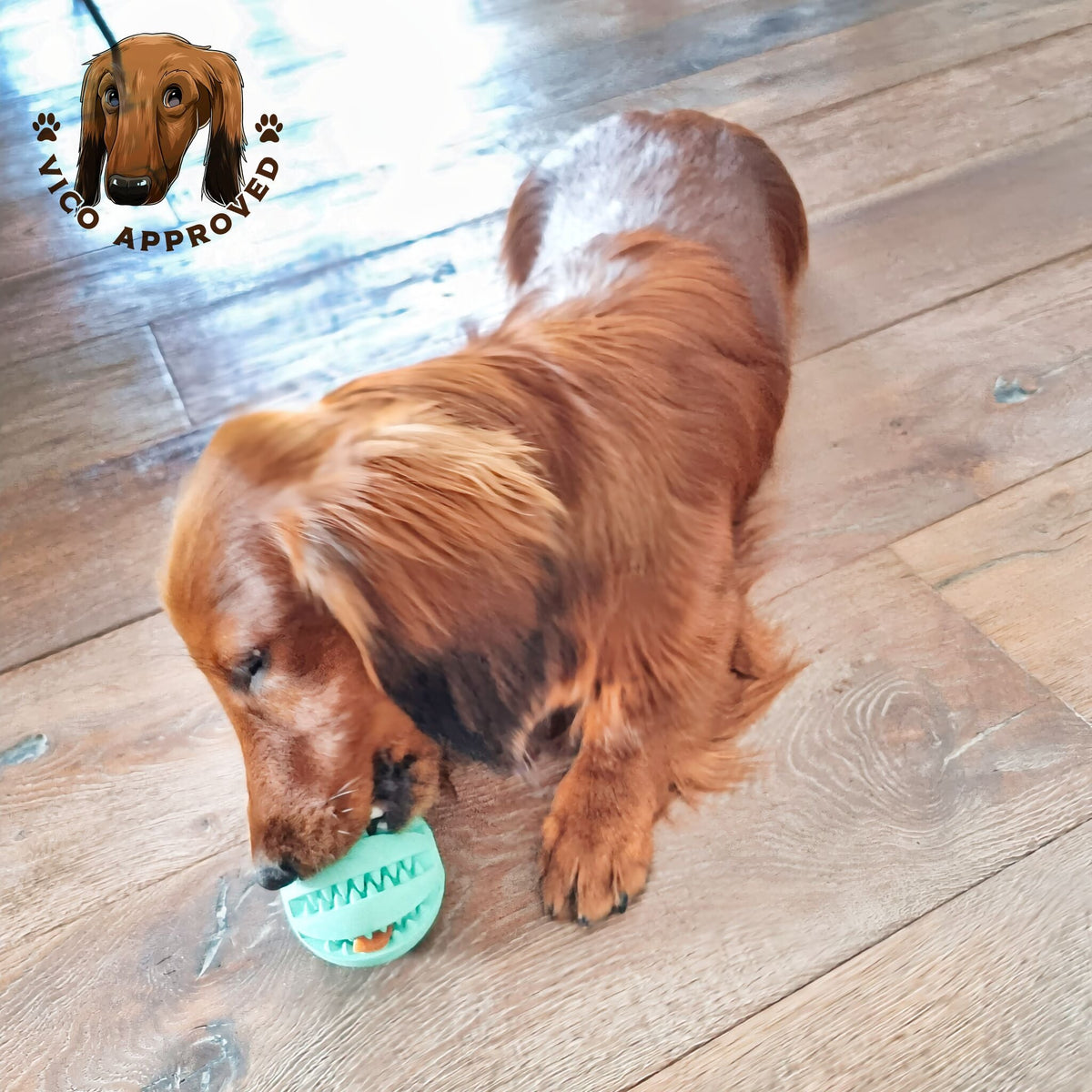 ChewyChuckle Spielball - Vico's Hundewelt (4749071807557)