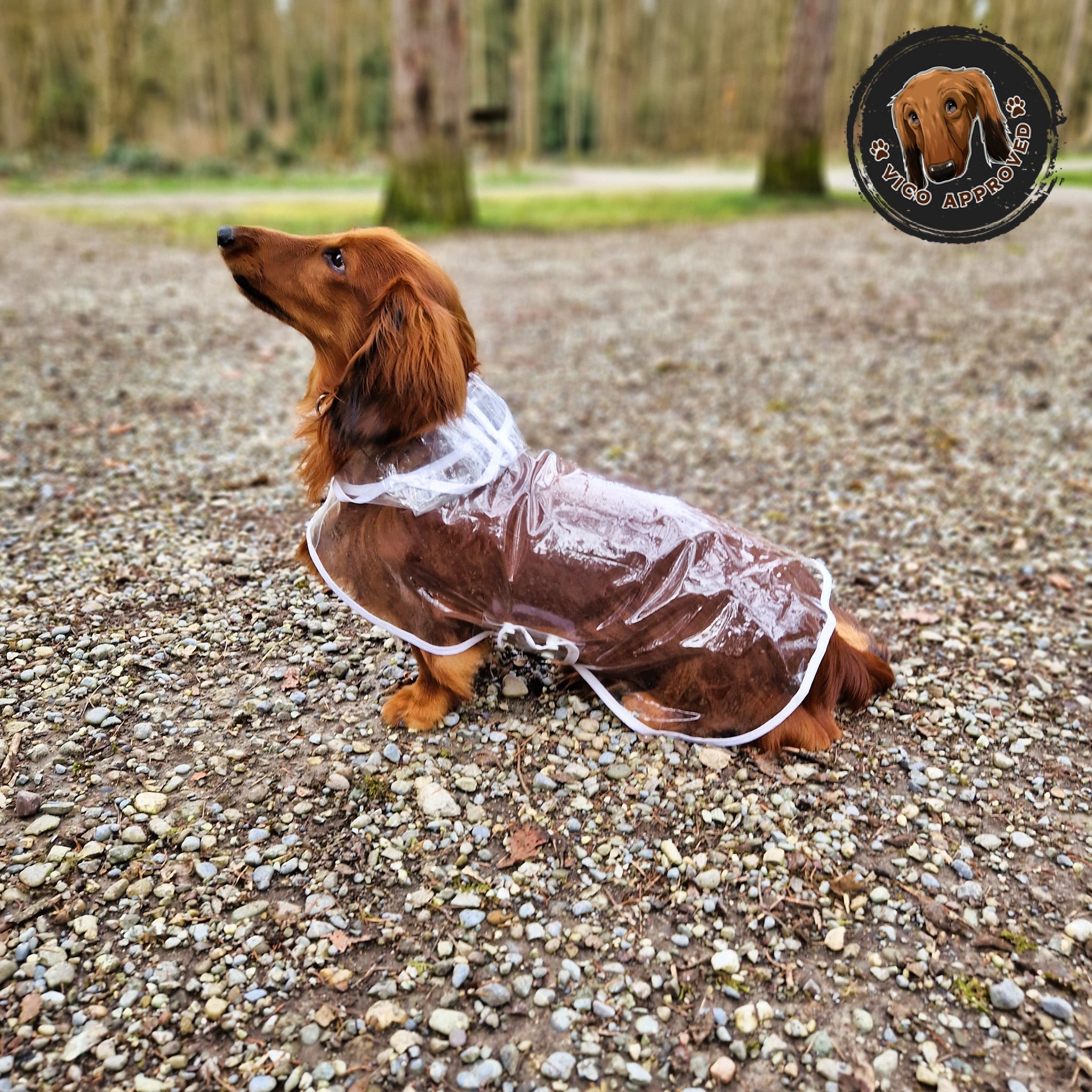 ClearSky Regenmantel - Vico's Hundewelt (5298162357185)