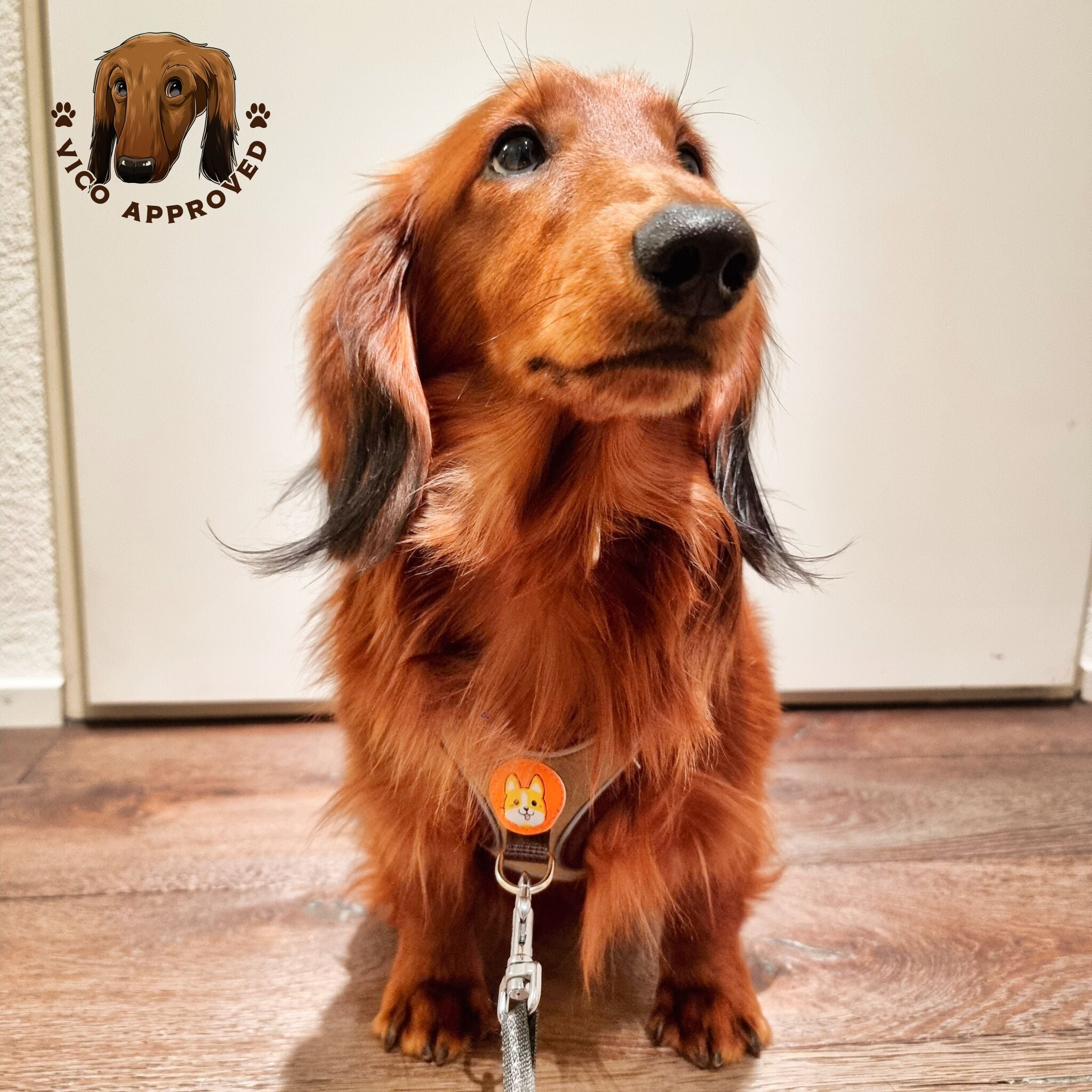 ComfyReflect Hundegeschirr - Vico's Hundewelt (5298247186310)