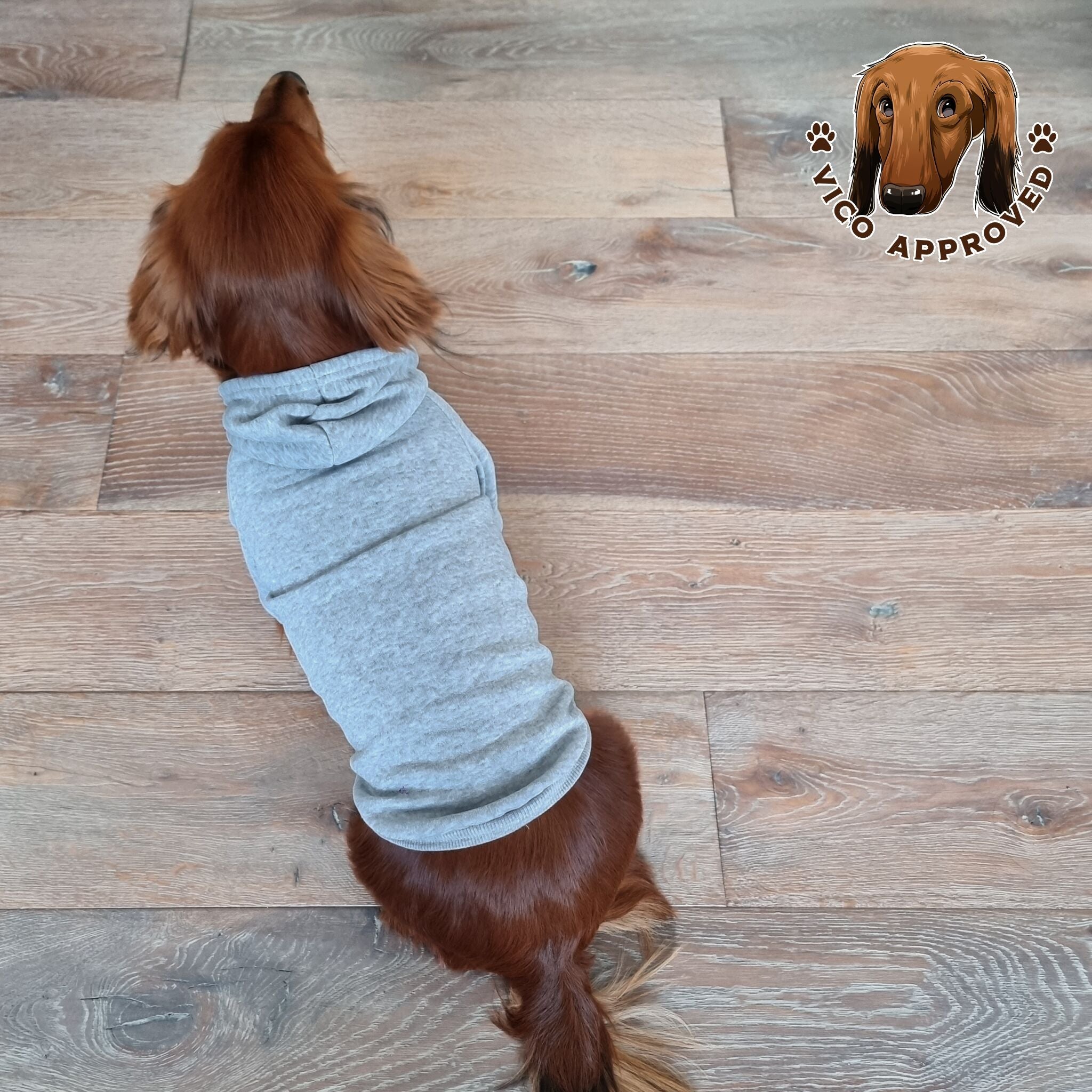 CozyPup Hoodie - Vico's Hundewelt (5298989016111)