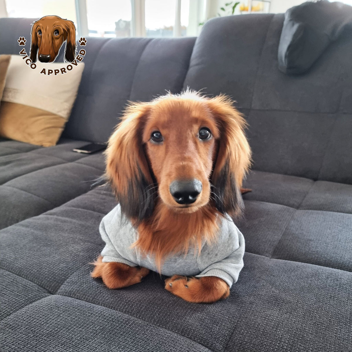 CozyPup Hoodie - Vico's Hundewelt (5298989016111)