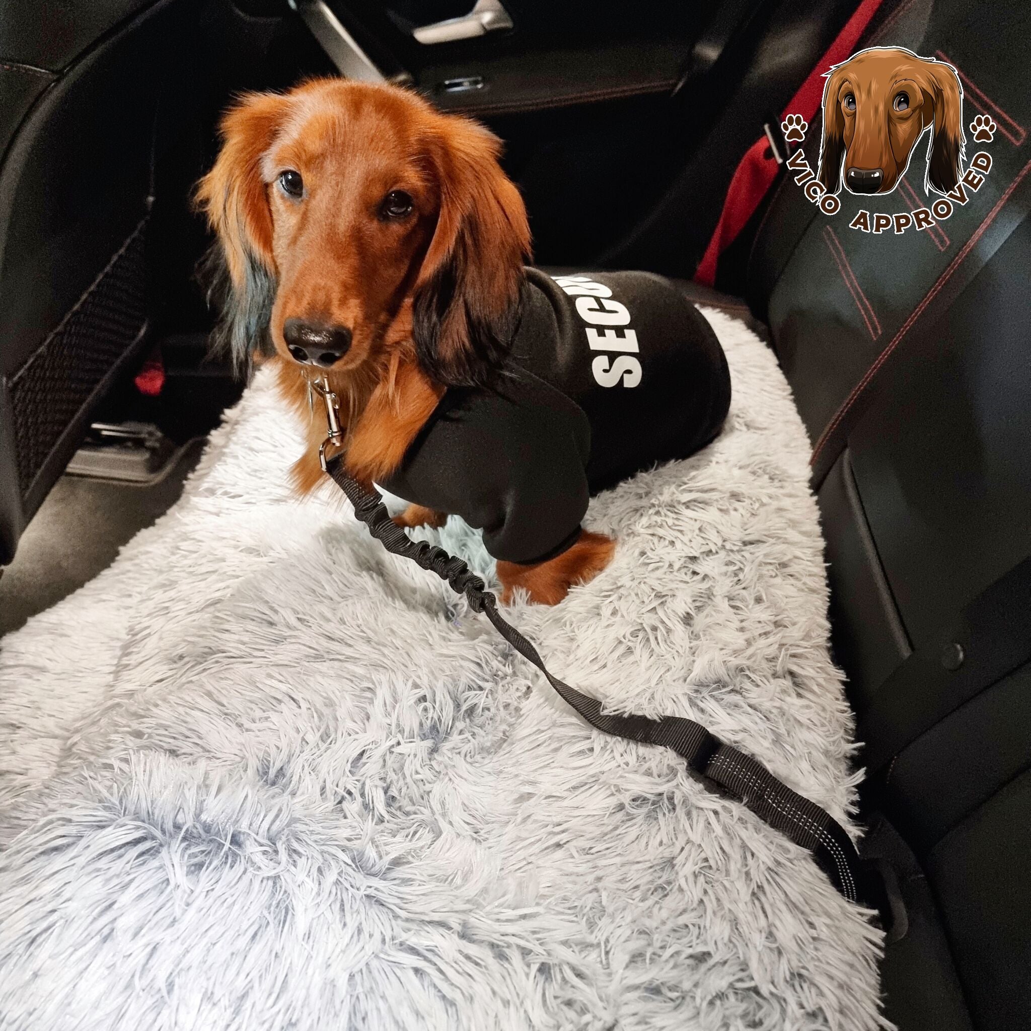 Doggy Sicherheitsgurt - Vico's Hundewelt (7469825630688)