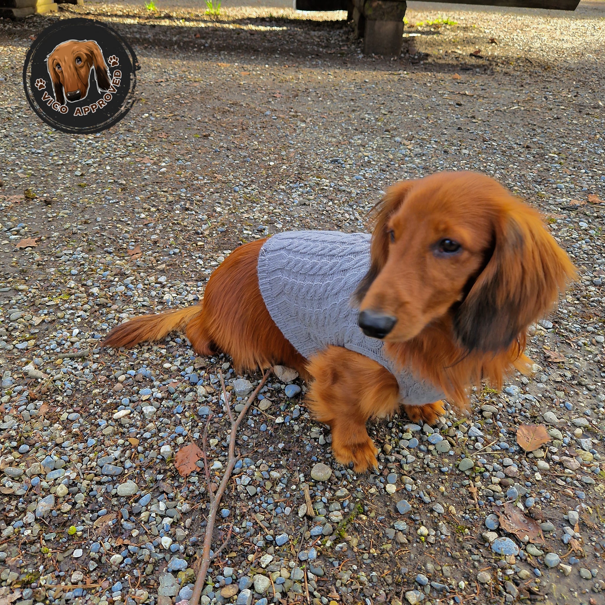 Doggy Strickjäckchen - Vico's Hundewelt (5299975552842)