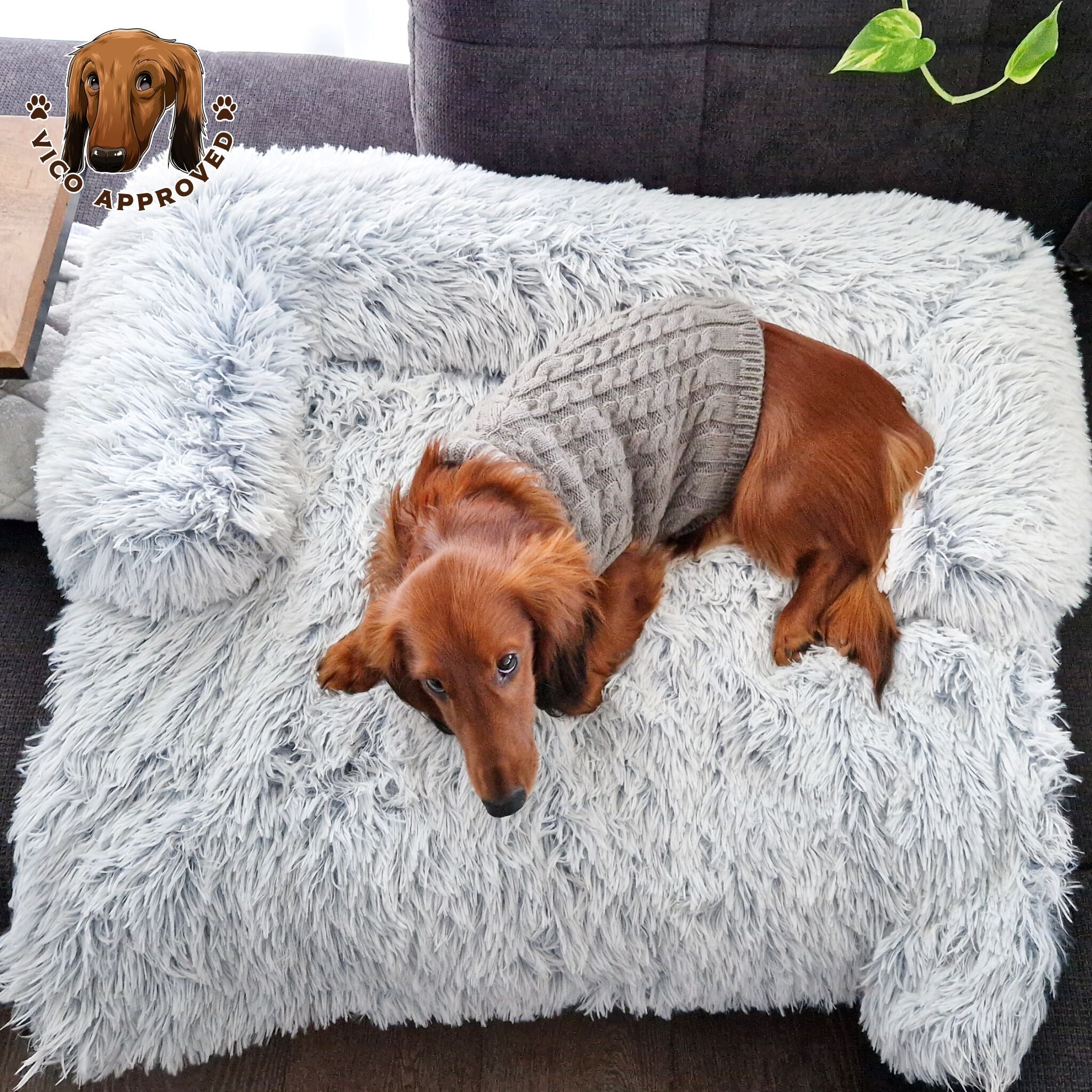 Doggy Strickjäckchen - Vico's Hundewelt (5299975552842)
