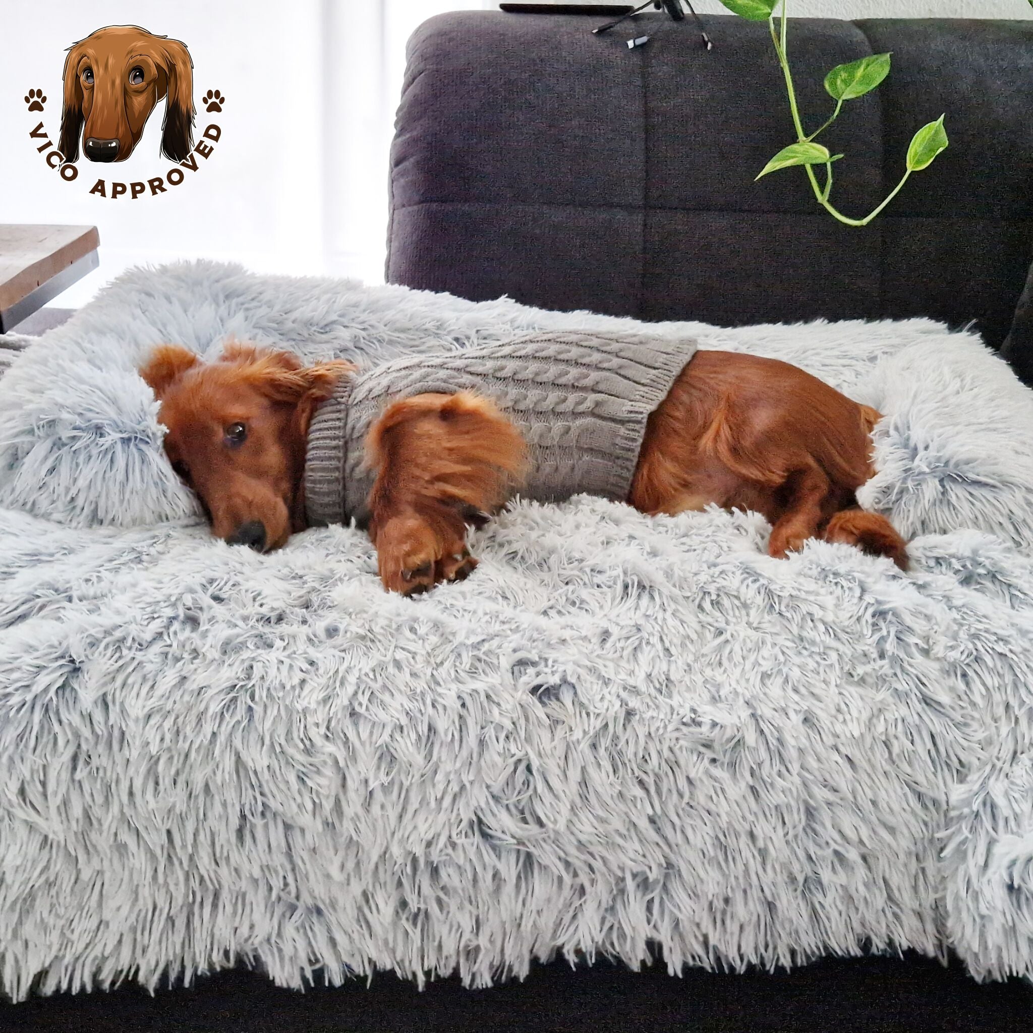 Doggy Strickjäckchen - Vico's Hundewelt (5299975552842)