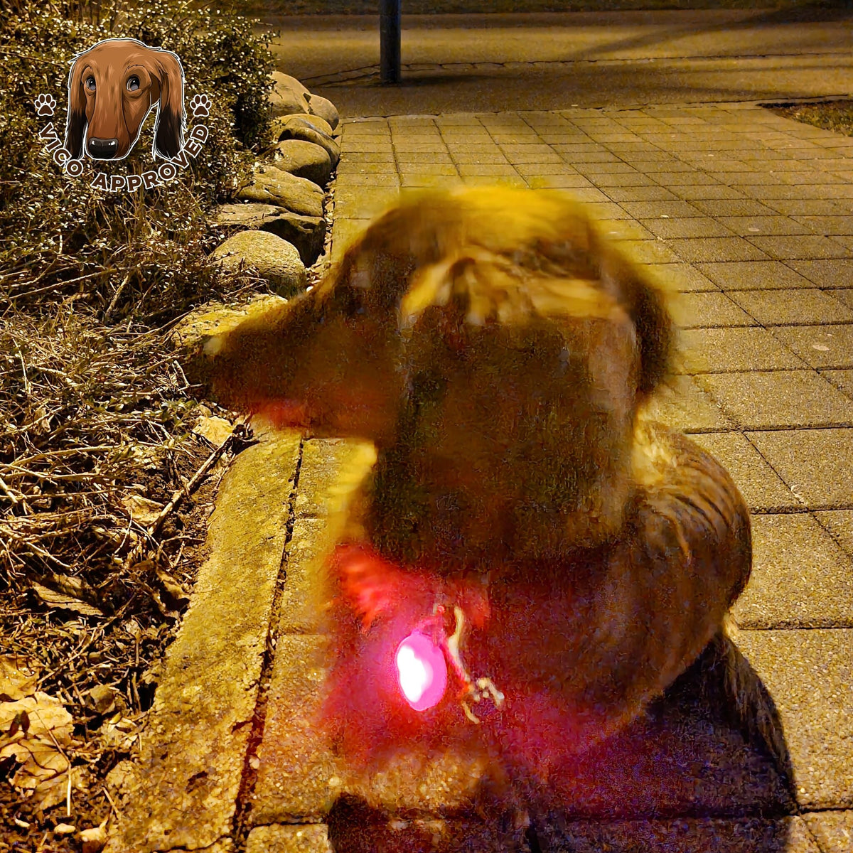 GlowFur! - Vico's Hundewelt (6048893853420)