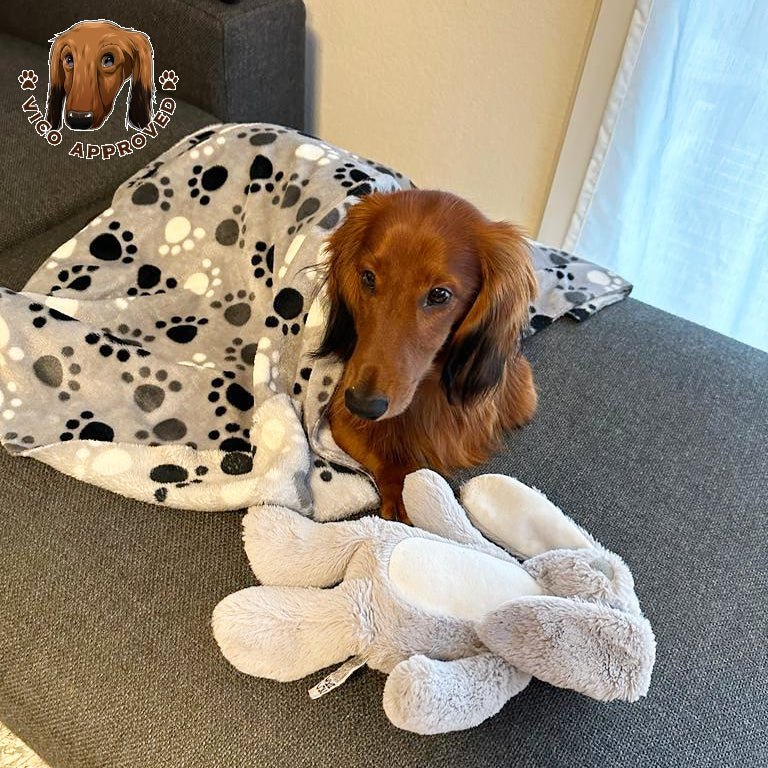 Pawfectly Hundedecke - Vico's Hundewelt (7469427297029)