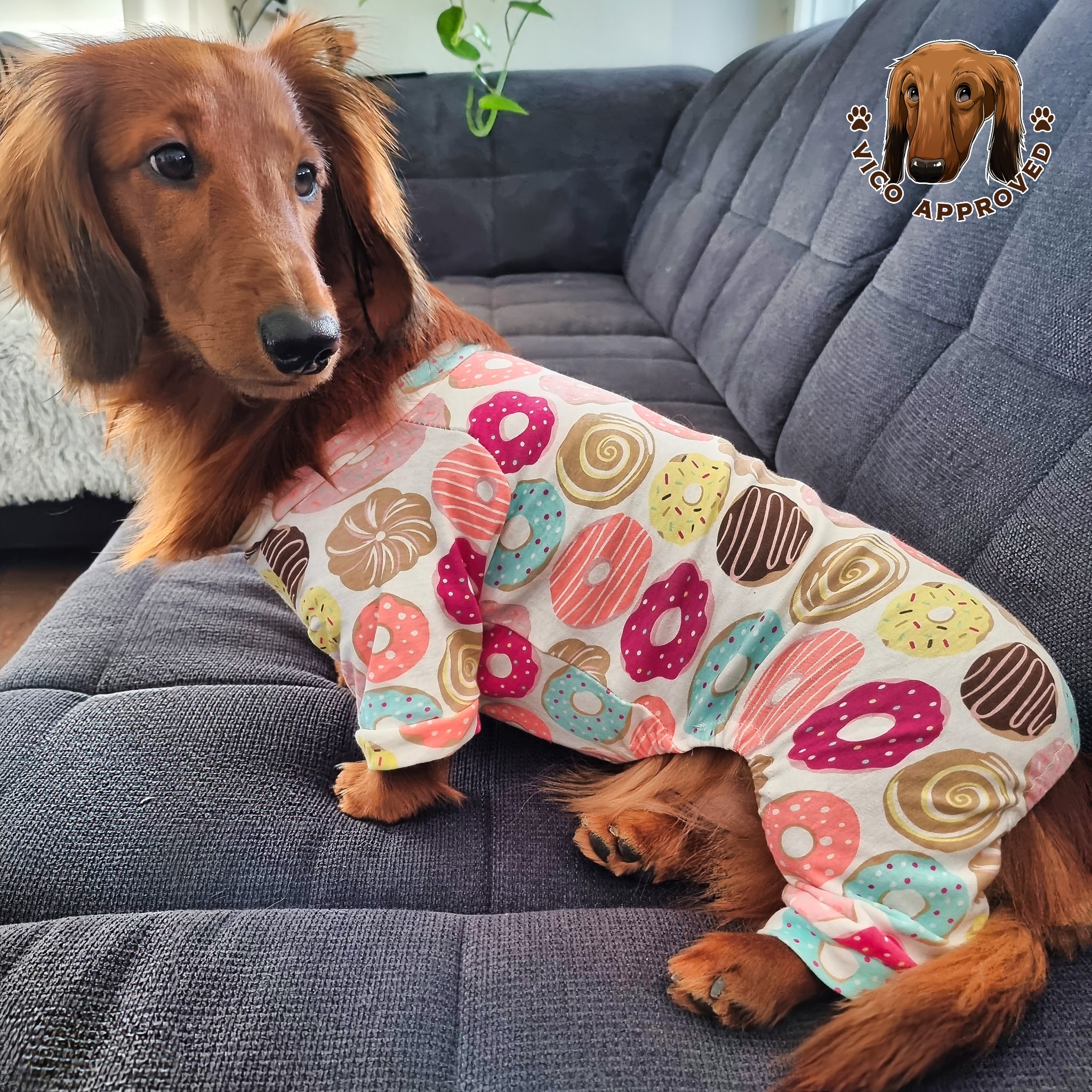 PawJama Party - Vico's Hundewelt (6249220739268)