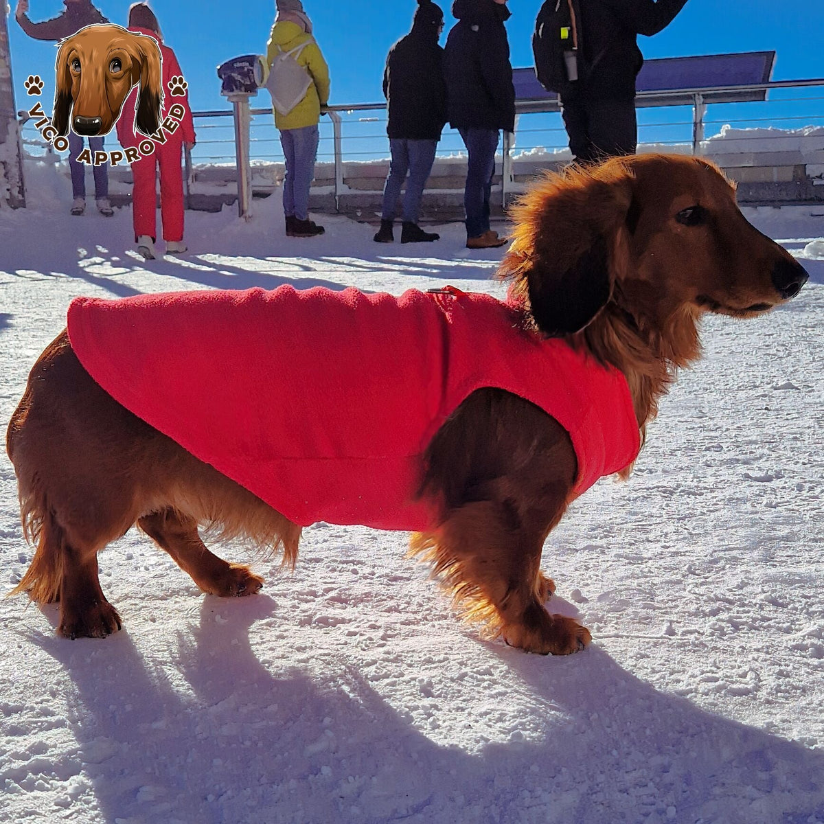 Pup-Peroni Parka - Vico's Hundewelt (7448511861469)