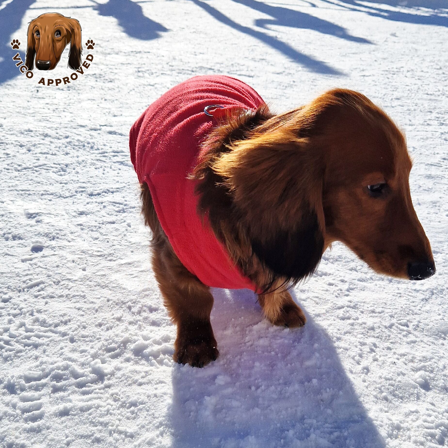 Pup-Peroni Parka - Vico's Hundewelt (7448511861469)