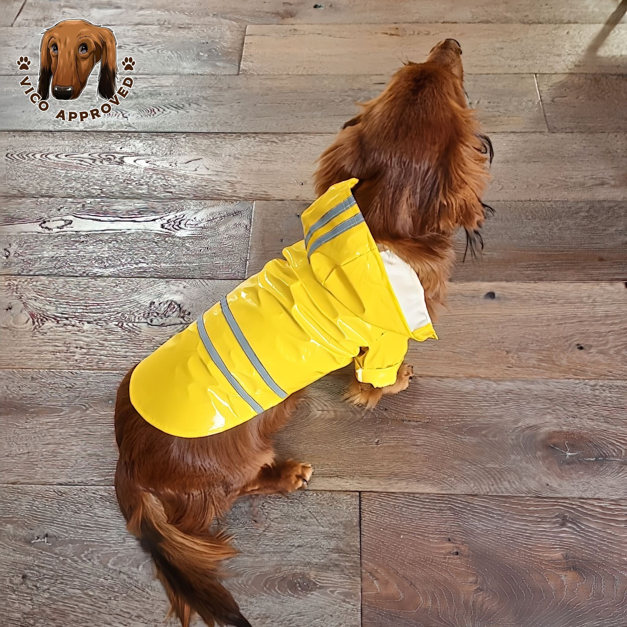 RainyPaws Poncho - Vico's Hundewelt (7449327463304)