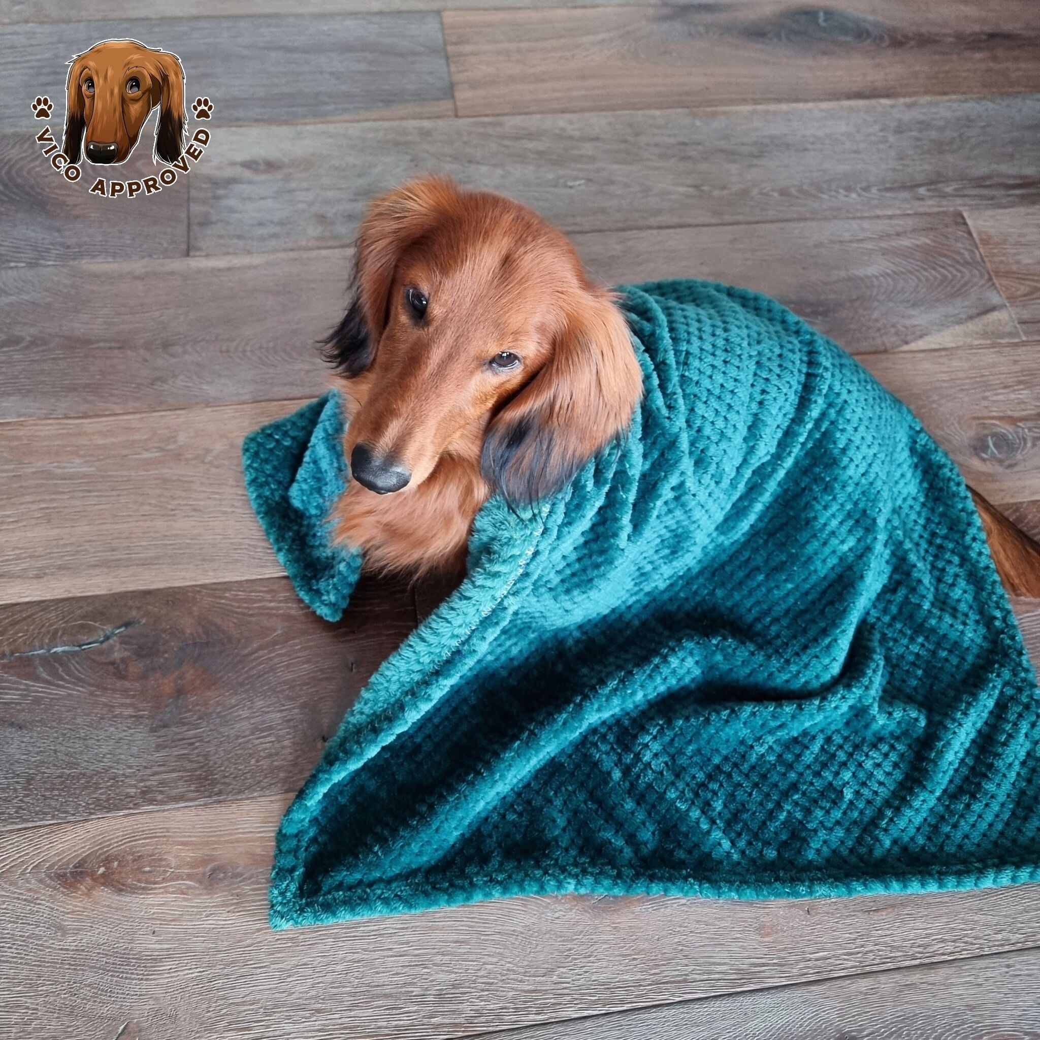 Schmeicheldecke - Vico's Hundewelt (7469626464130)