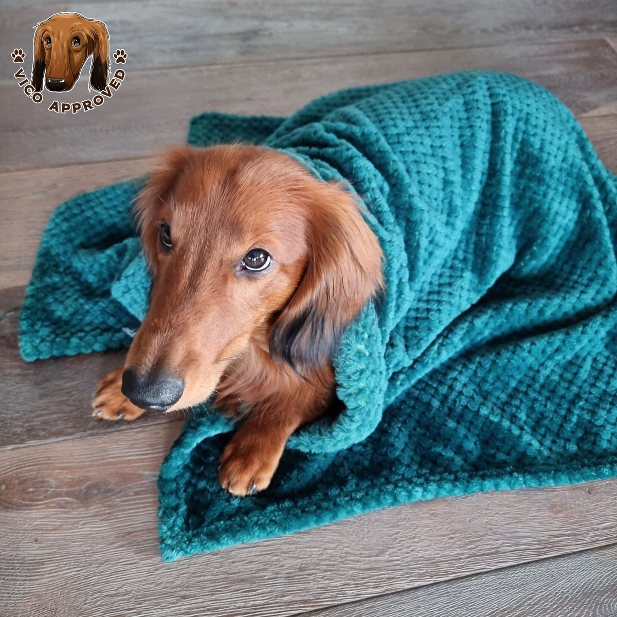 Schmeicheldecke - Vico's Hundewelt (7458520067974)