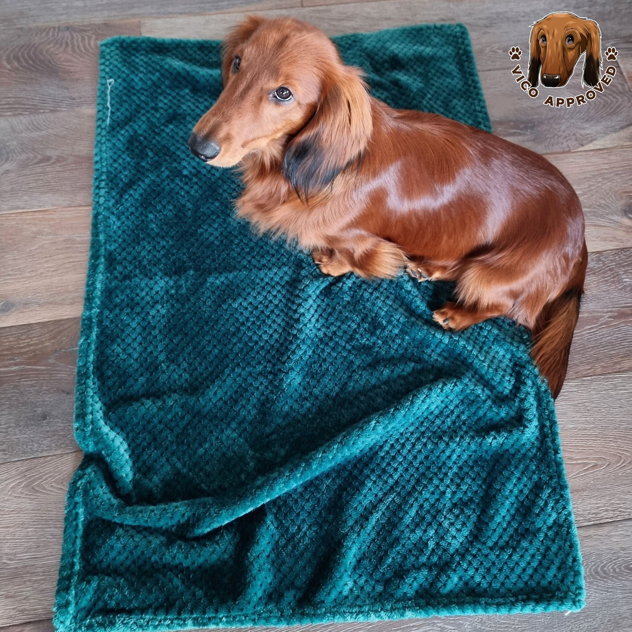 Schmeicheldecke - Vico's Hundewelt (7469626464130)