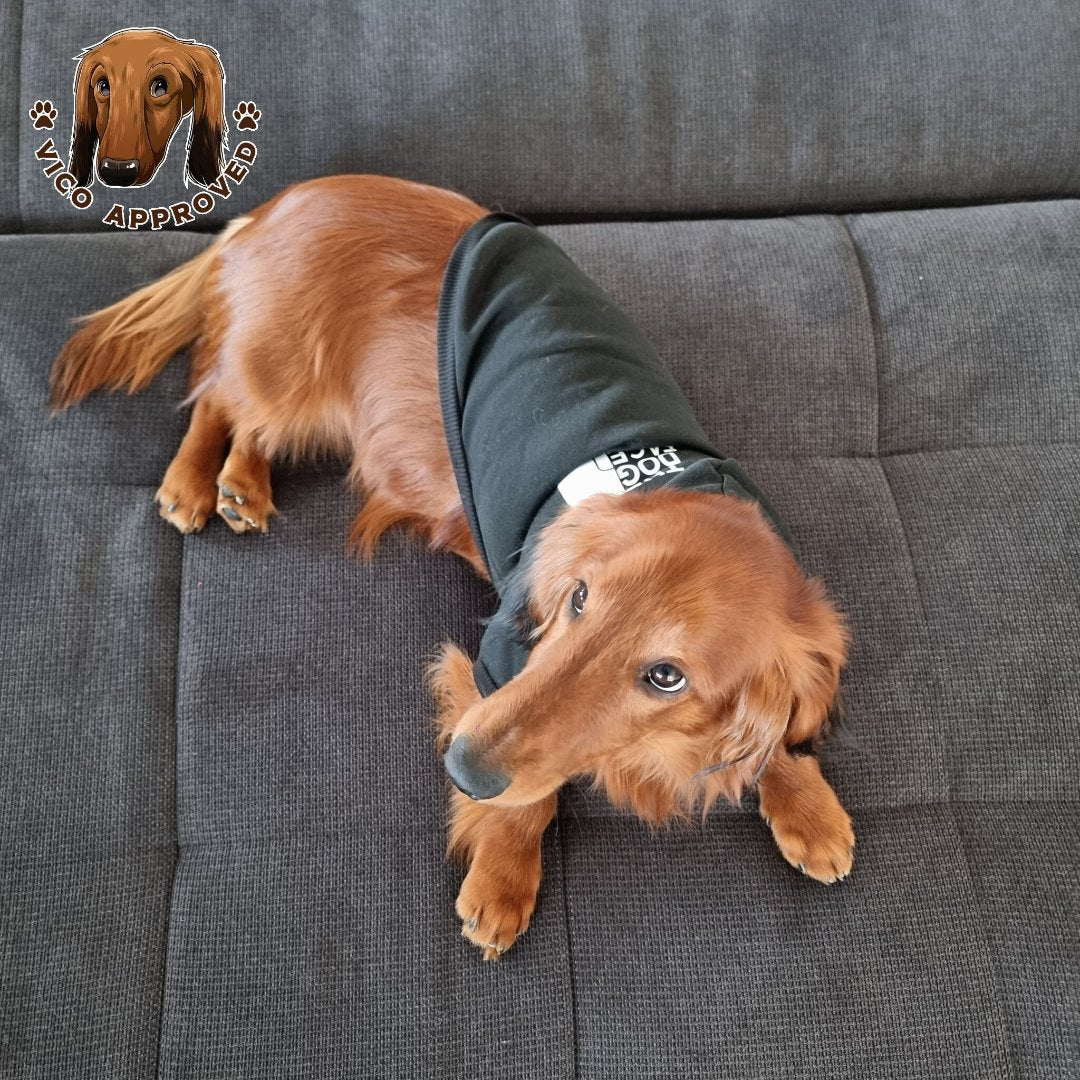 "The Dog Face" Pullover - Vico's Hundewelt (4749776685634)