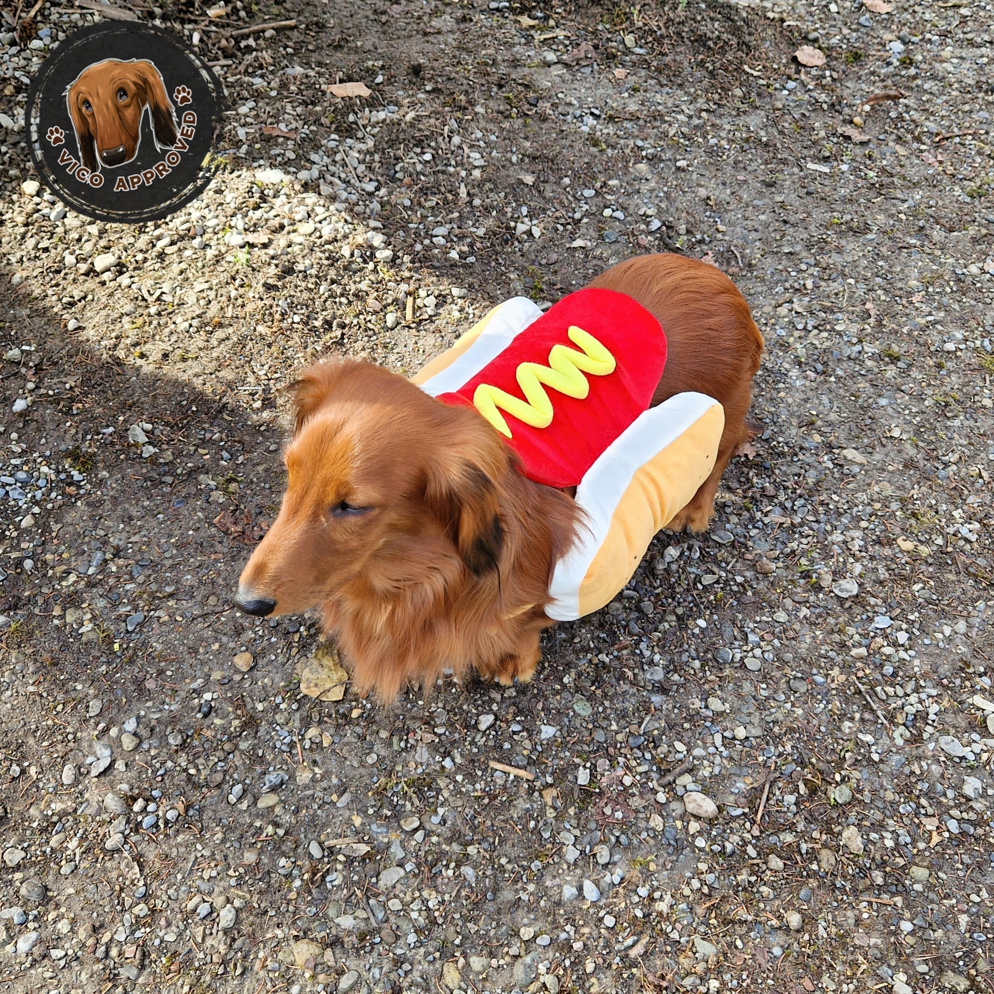 WienerWoof Hotdog Kostüm - Vico's Hundewelt (7459134744855)