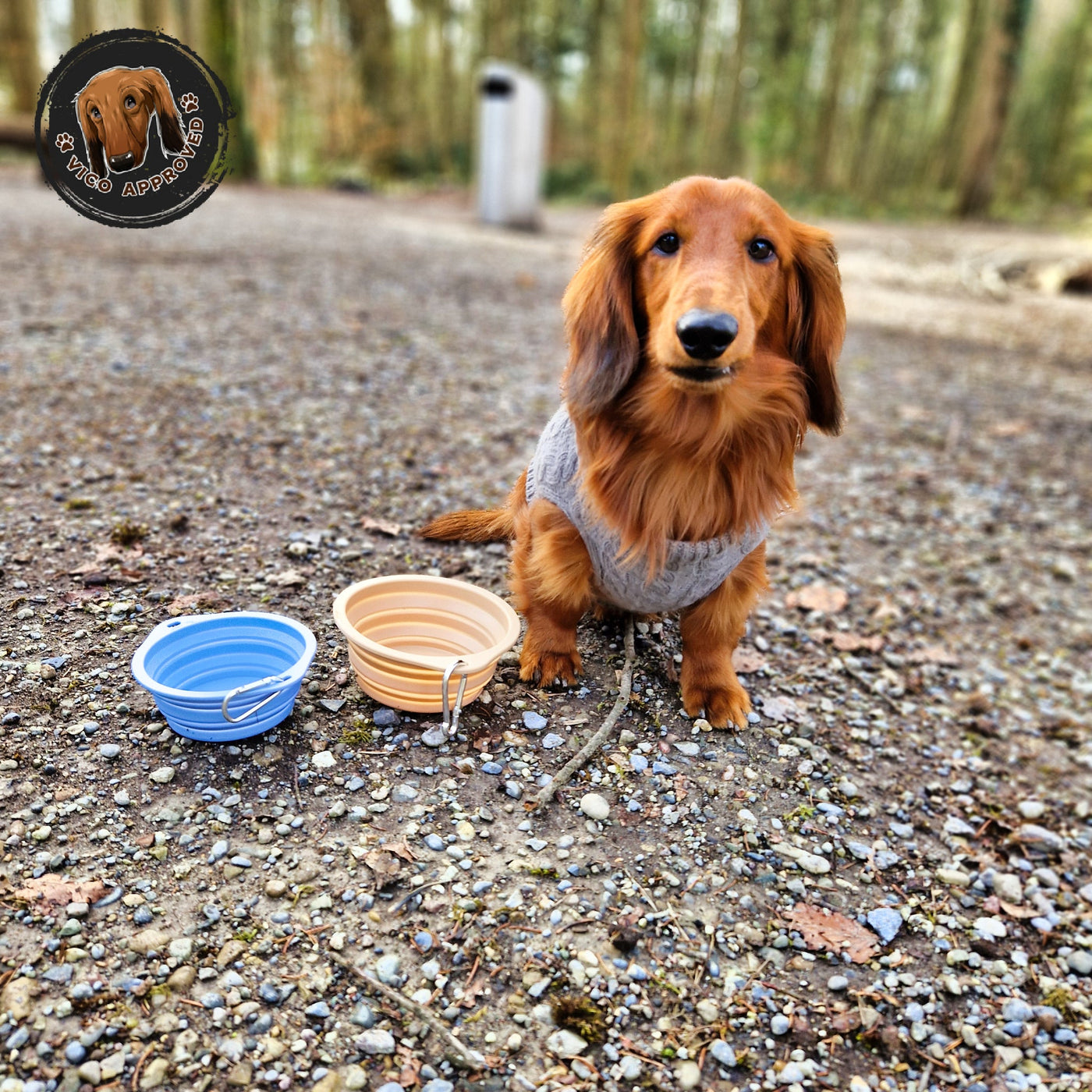 Futter & Wasser - Vico's Hundewelt