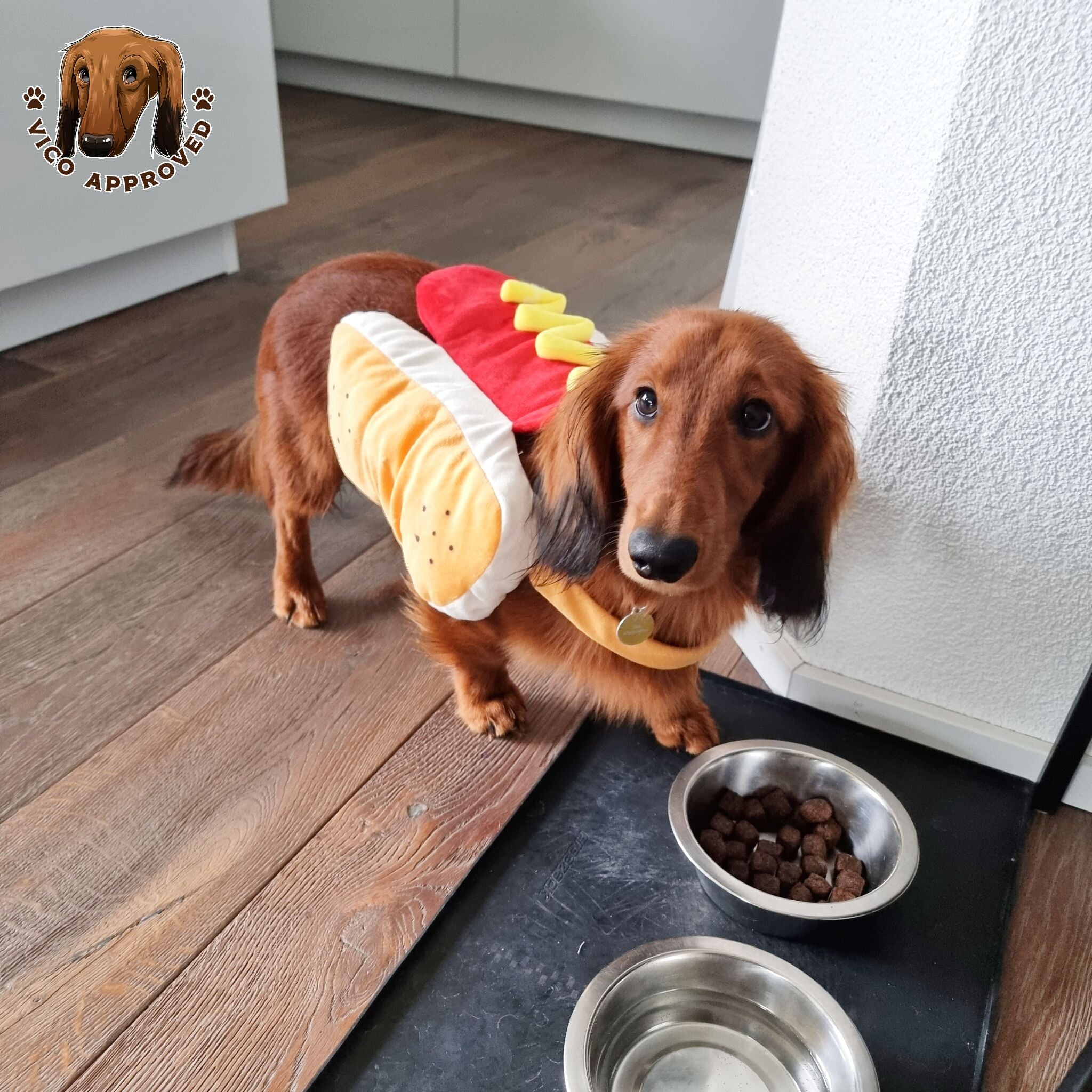 Hundekostüm - Vico's Hundewelt