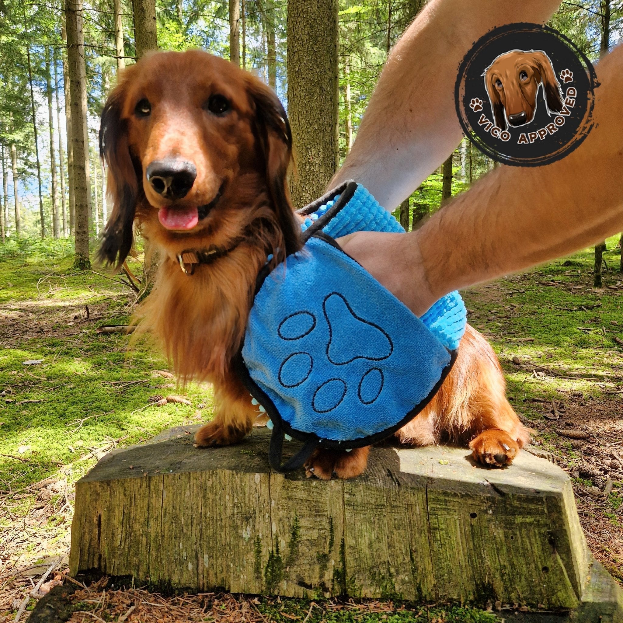 DryHug Frottetuch, Hundehandtuch von Vico's Hundewelt