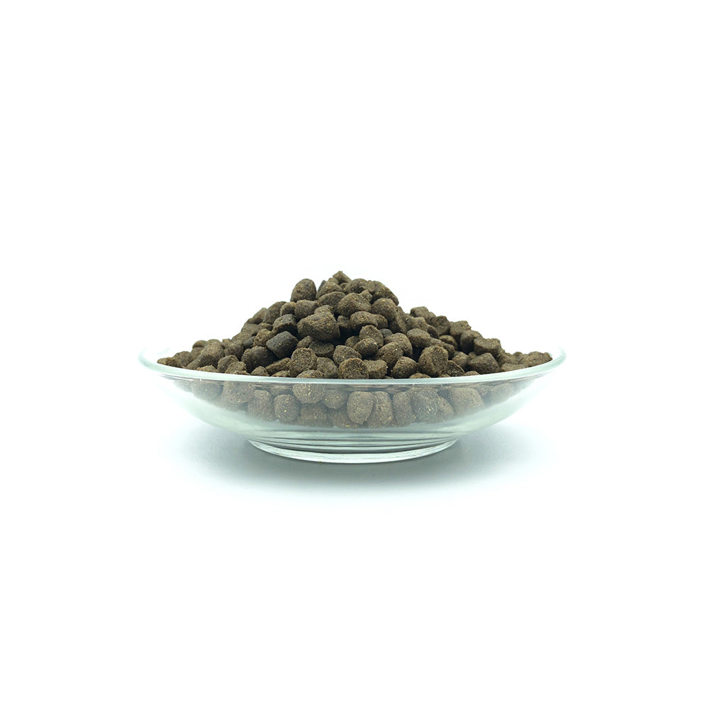 Bellfor Trockenfutter mit Insekten Landgut-Schmaus Junior, Bild 2