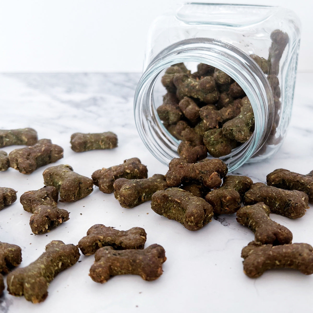 Spirulina-Leckerli für Hunde mit Petersilie, handgemacht in Lugano