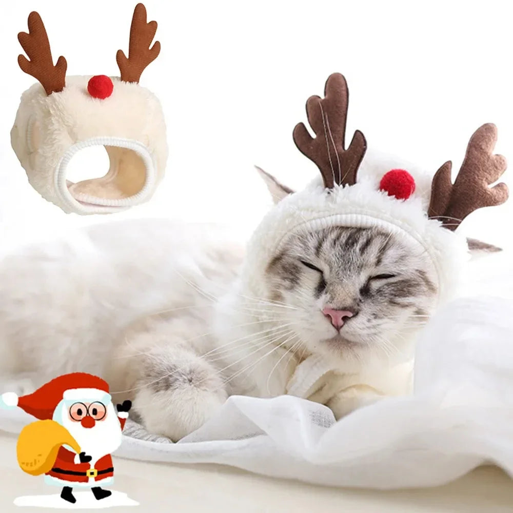 SantaPaw Mützen-Set