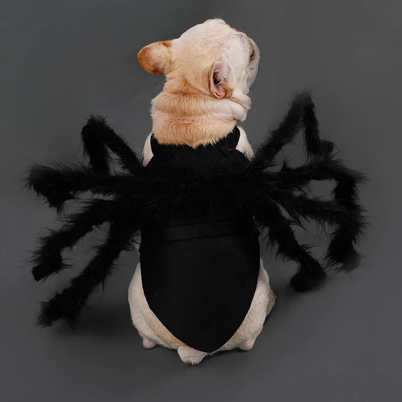 SpookySpider Dog Costume