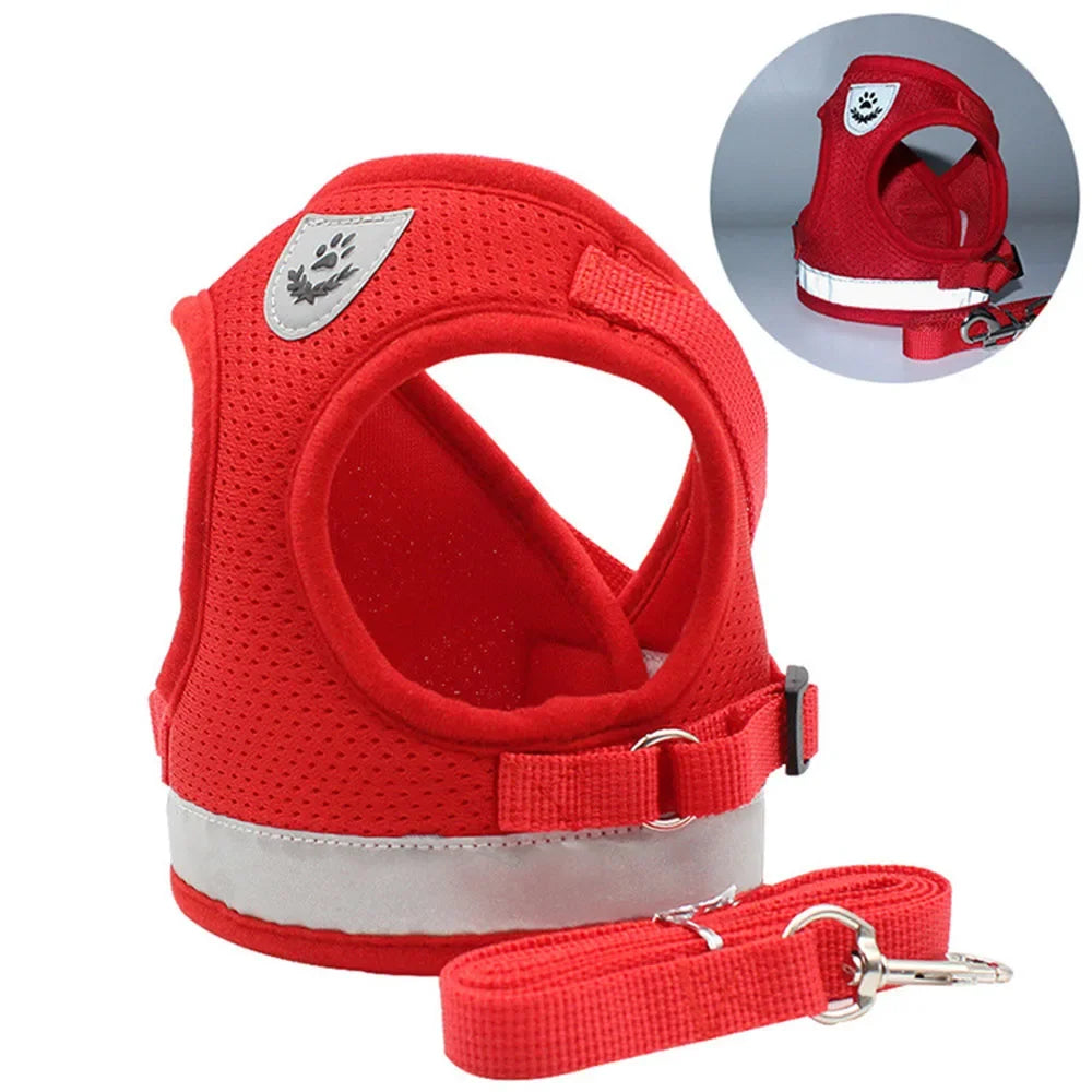GlowWalk - Reflektierendes Hundegeschirr mit Leine