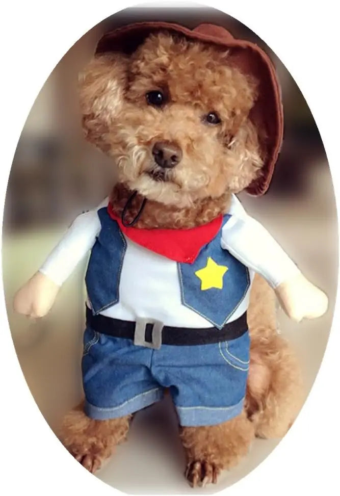 WildWest Cowboy Dog Costume