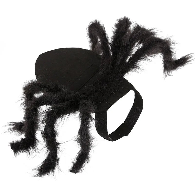 SpookySpider Dog Costume