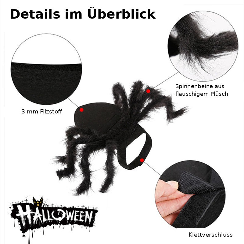 SpookySpider Dog Costume